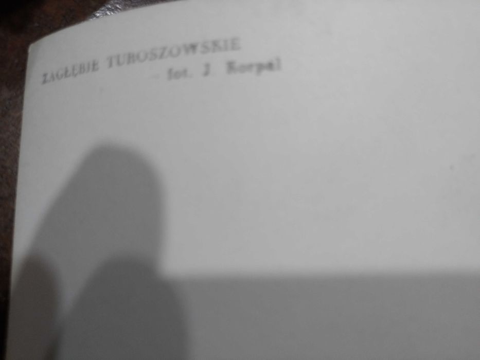 Zagłębie Turoszowskie