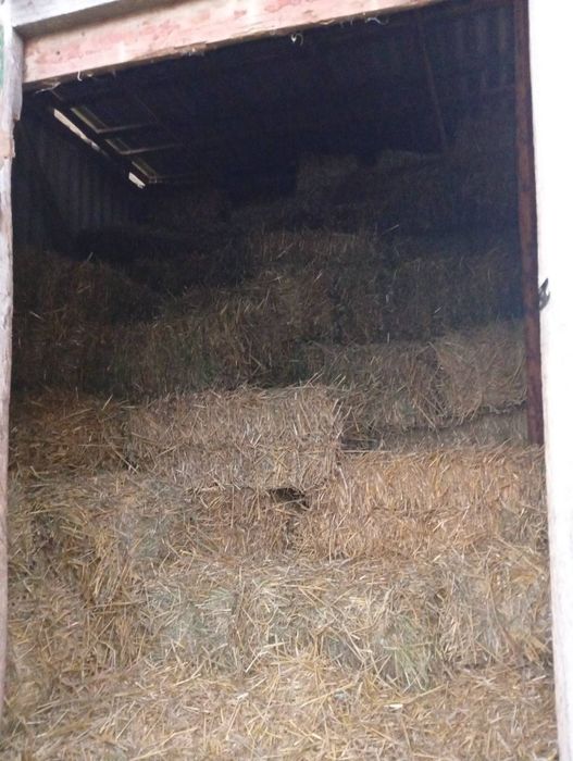 Продаю Тюки  Соломи