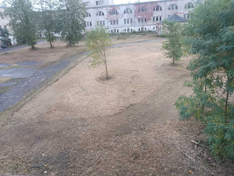 Koszenie karczowanie równanie mulczer czyszcz działek samosiejki rębak