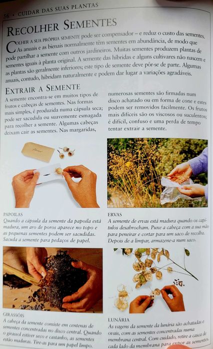 Manuais Práticos de Jardinagem.-Anuais e Bienais