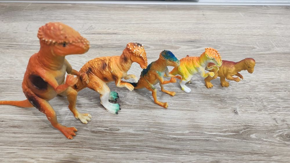 Zestaw 5 szt dinozaurów pachycefalozaury