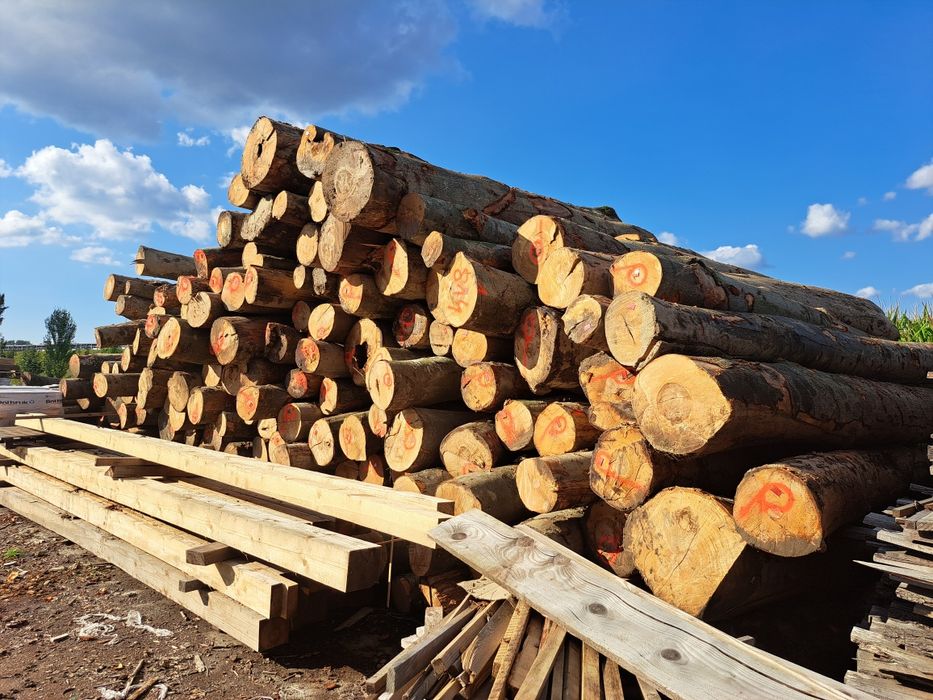 Drewno bukowe opałowe kominkowe