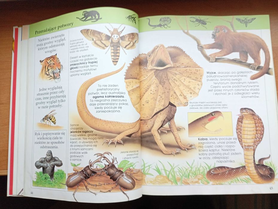 Encyklopedia dziecięca