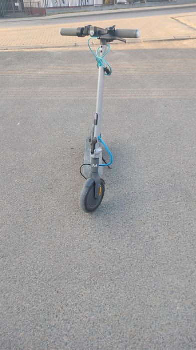 Motus scoty 10 lite 2020
