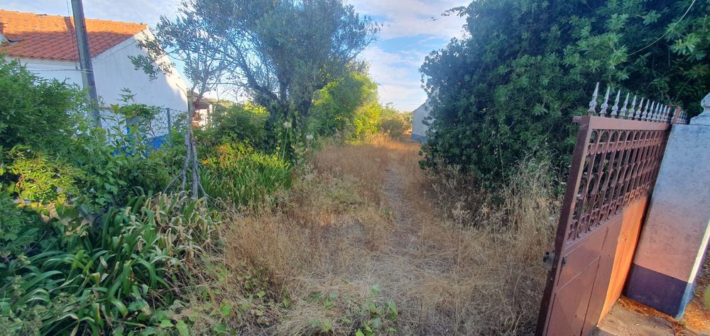 Limpeza de lotes e terrenos