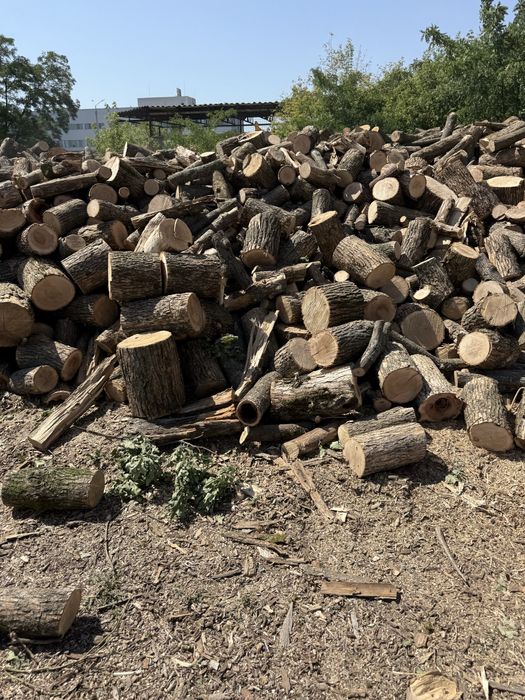 Дрова дуб,акация акционная цена