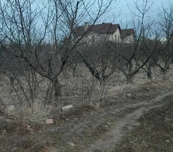 земельна ділянка Чабани Київська область Фастівський район