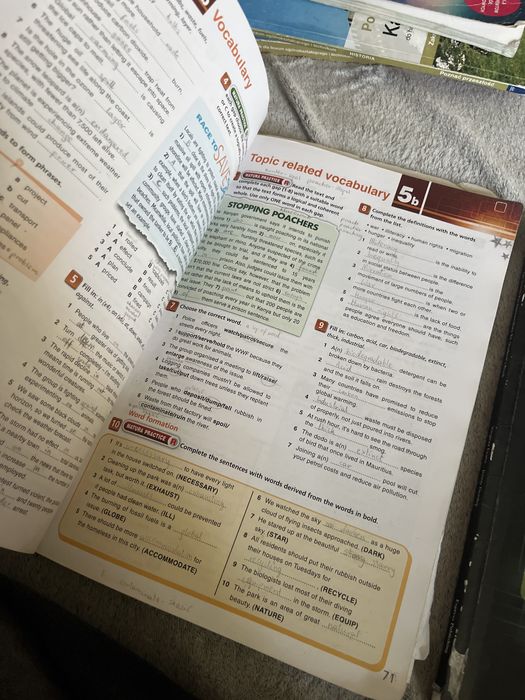 on screen b1 podręcznik i ćwiczenia