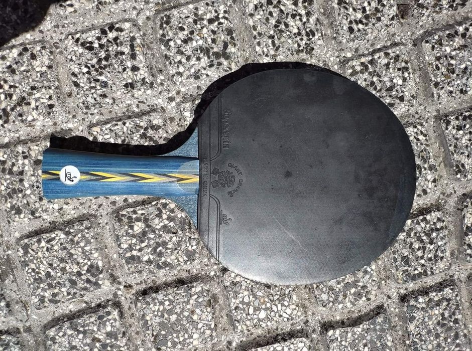 Raquete ténis de mesa Promaster 6 estrelas