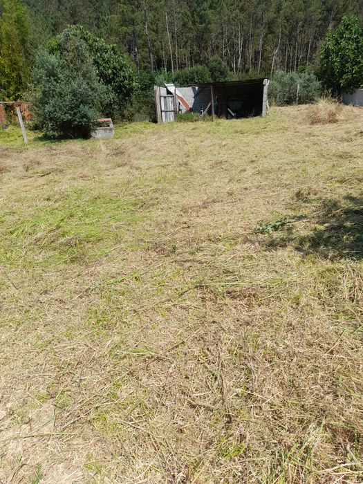 Limpezas,Poda de Árvores e Pequenas Reparações