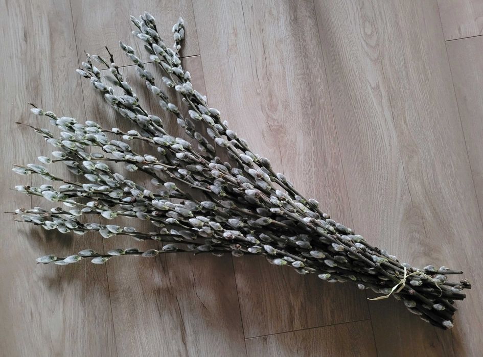 Bazie długie XXL ( świeże ) różna wielkość palmy i wianki