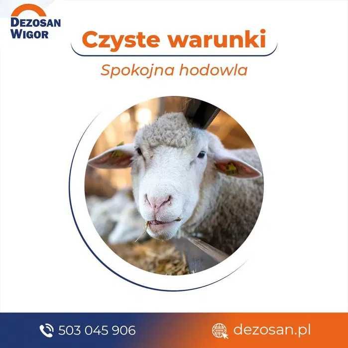 Dezosan Wigor Sucha dezynfekcja ściółki paleta 1000kg DOSTAWA GRATIS