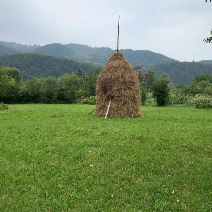 Продаю земельну ділянку