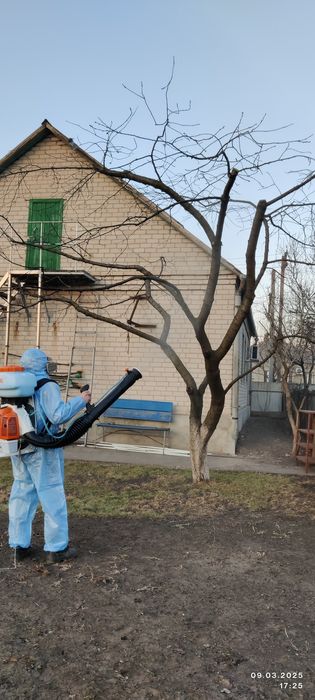 Спил, обрезка. Измельчение веток.