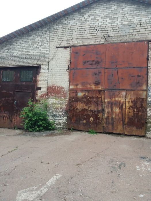 Продам виробниче приміщення вул.Гребінки (р-н Н.Подусівка), Чернігів