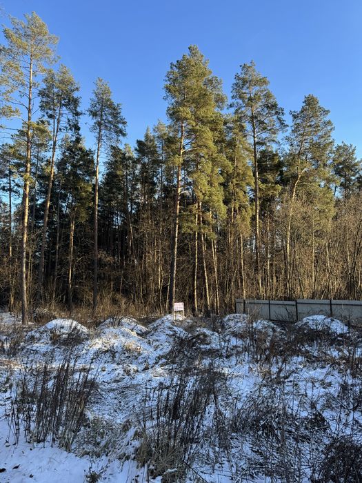 Продам ділянку с виходом до Заповідного Лісу