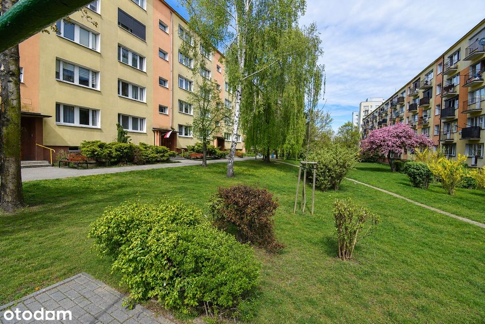 Mieszkanie 2-pokojowe 42m2 ul. Asnyka