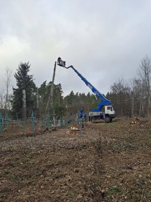 Спил дерев, валка дерев, розпил, обрізання гілок