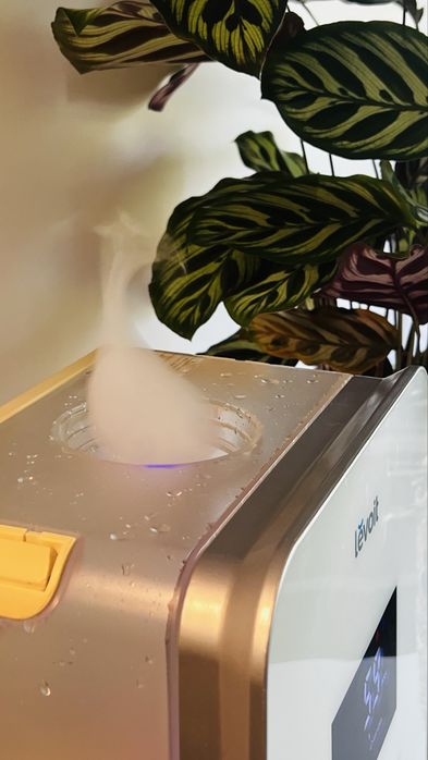 Humidificador de ar / plantas
