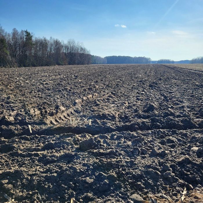 Ziemia Rolna Kosów lacki Hulidów 2,90 h