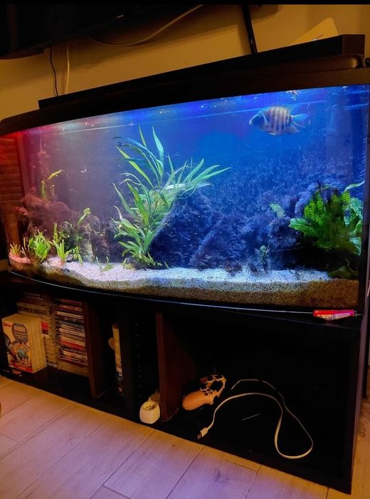 Akwarium panorama 120x40x50 zestaw (250 litrow) + nowy filtr