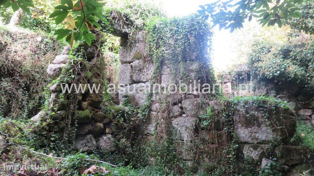 Land with Mill for Restoration - Bouro Sta Maria