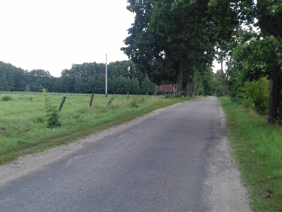 Sprzedam dzialke na Mazurach blisko lasu i jeziora - Widok 4