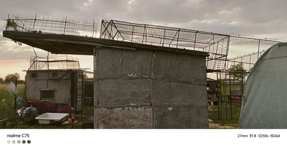 Gołębnik dla hodowcy