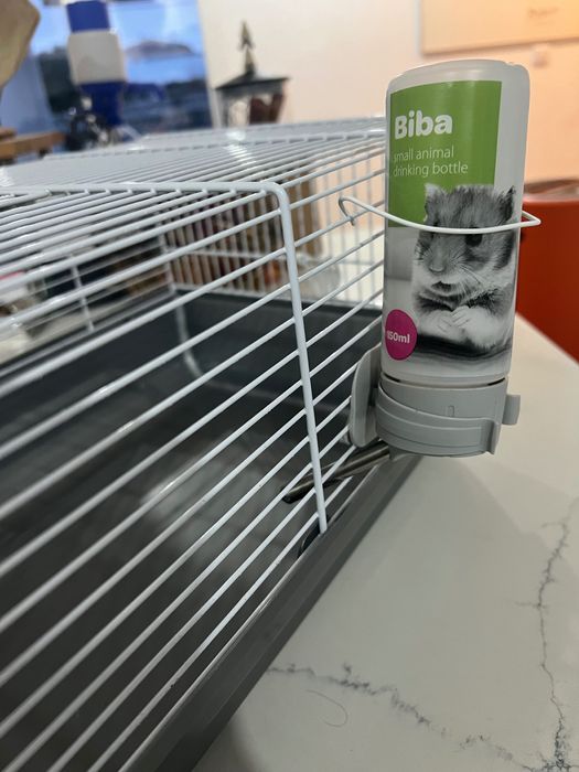 Gaiola para Amester (como nova)