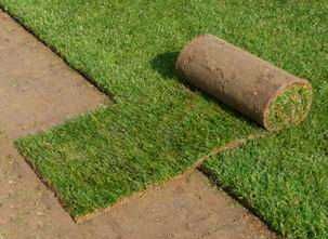 Trawa z rolki trawnik w rolkach trawniki rolowane. Gotowy trawnik.