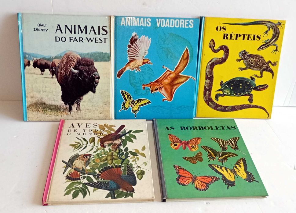 Livros da Coleção - Maravilhas do Mundo e da Ciência