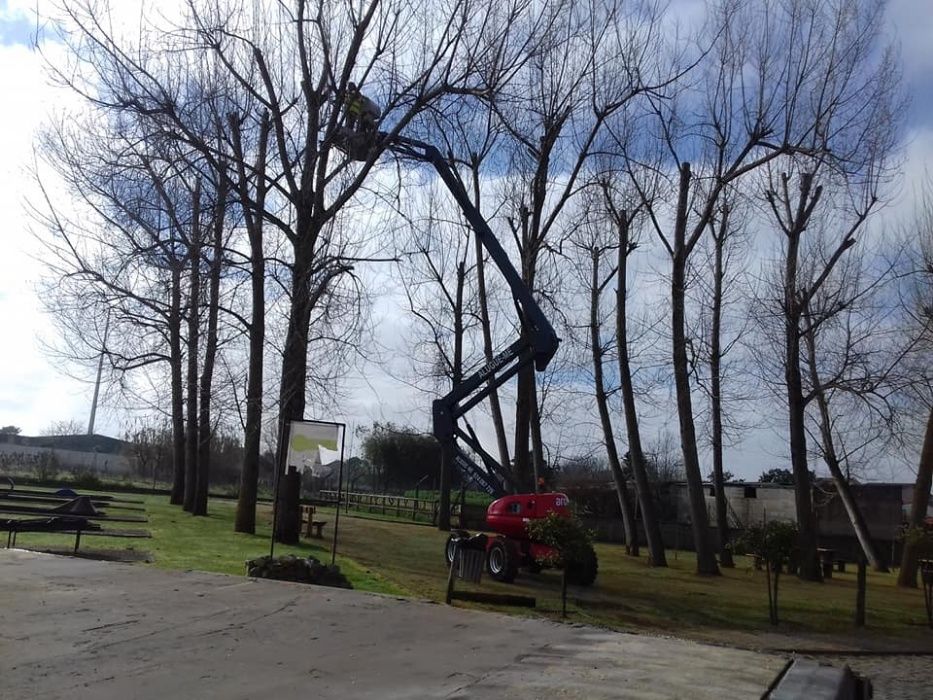 Aluguer de Plataformas Elevatórias Articuladas MANITOU!