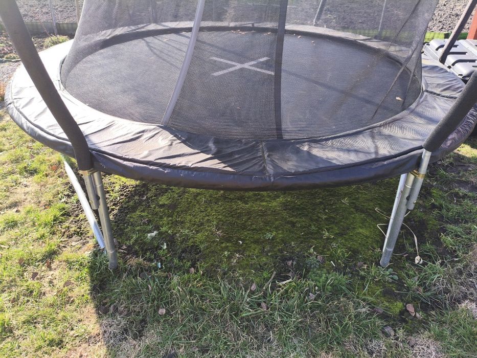 Trampolina 240cm