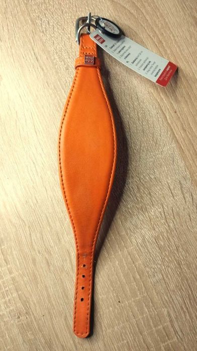 Нашийник для собак