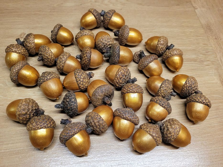 złote żołędzie naturalne szyszki >< dodatki do stroików