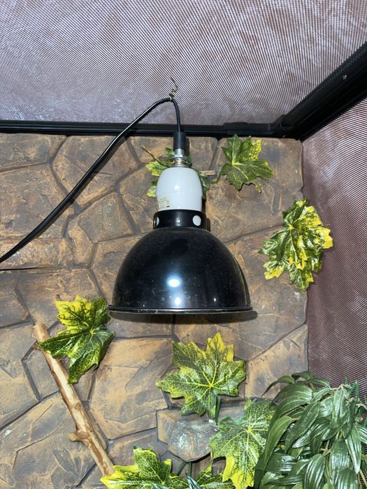 Тераріум Repti Zoo