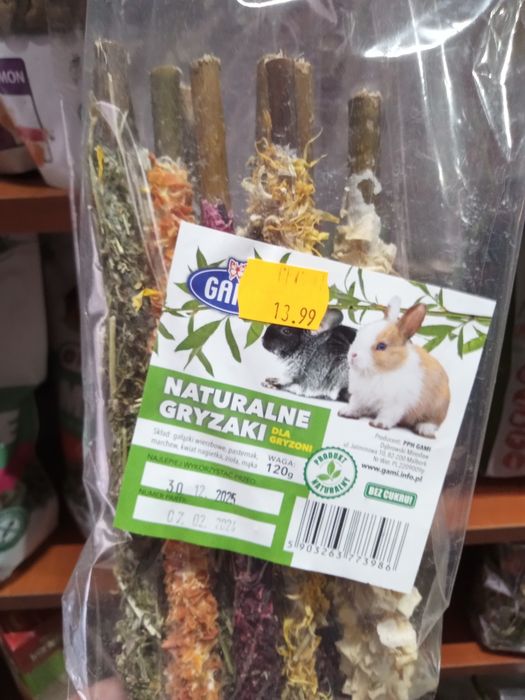 Szczur Dumbo samce i samice - Tina Zoo Zabrze