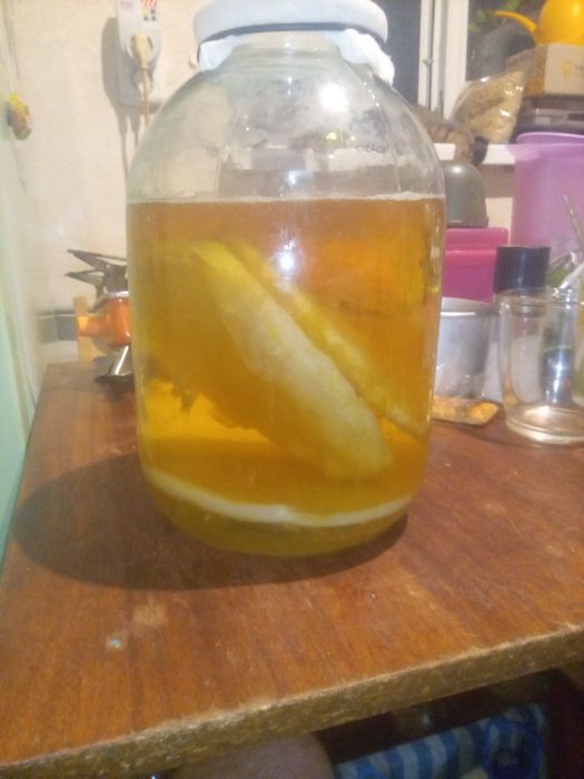Джун чайний "гриб"