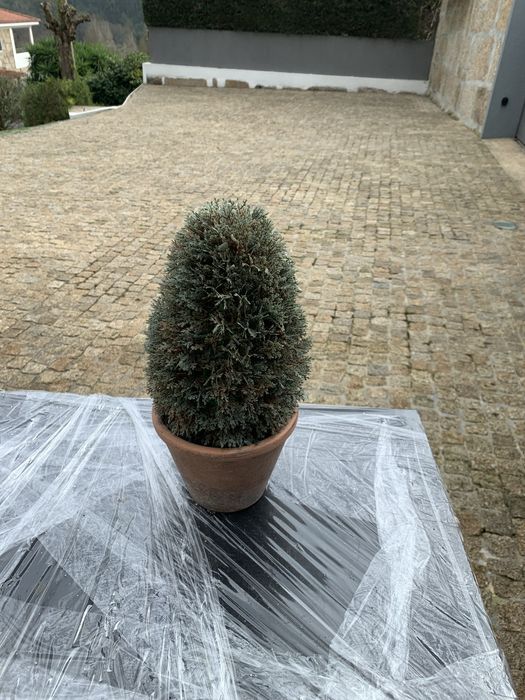 jarras adornos e Arvore natall