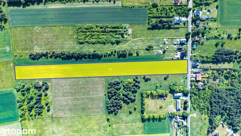 Działka rolno-budowlana 19770 m², lub 9800 m² za 249.000, JURA - View 2
