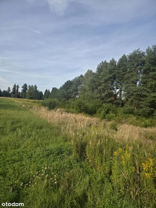 Duża działka w spokojnej i zielonej okolicy 8 km od Rybnika i 4 km A1 - Widok 3