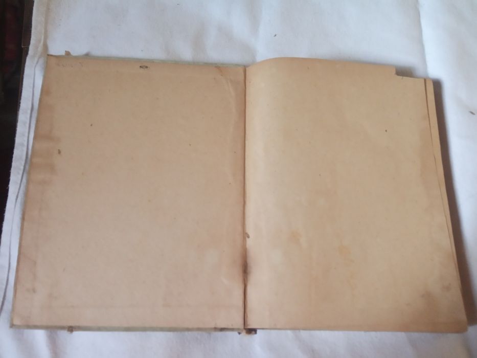 Сетон Томпсон Домино