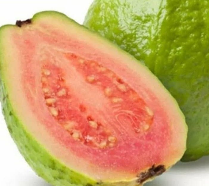 20 sementes de goiaba