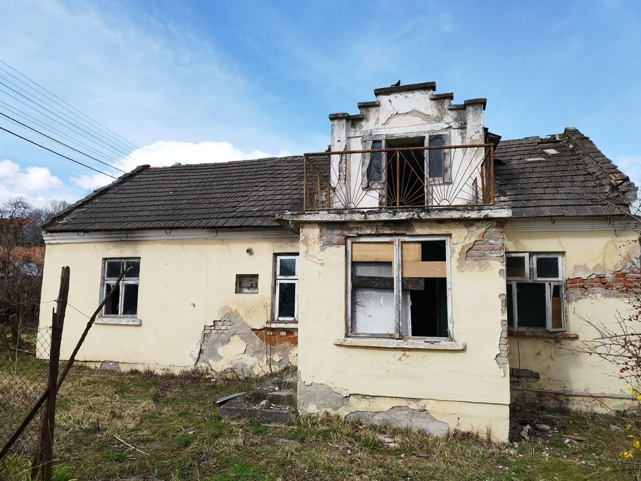 Wycinka drzew, wyburzenia,