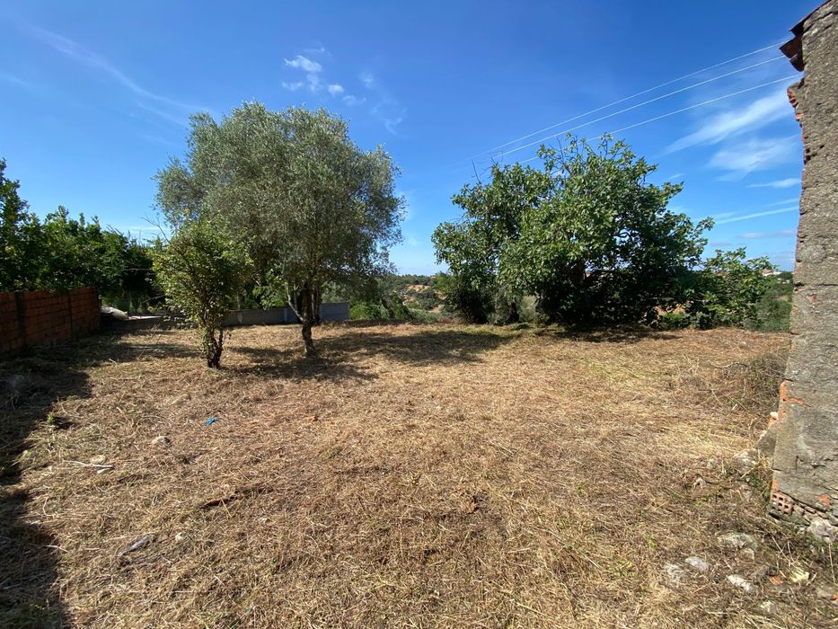 Limpeza de terrenos / Manutenção de jardins