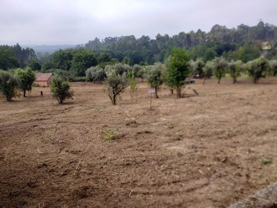 Terreno para construção junto à ecopista do dão