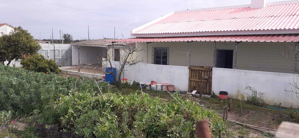 Terreno com benfeiturias