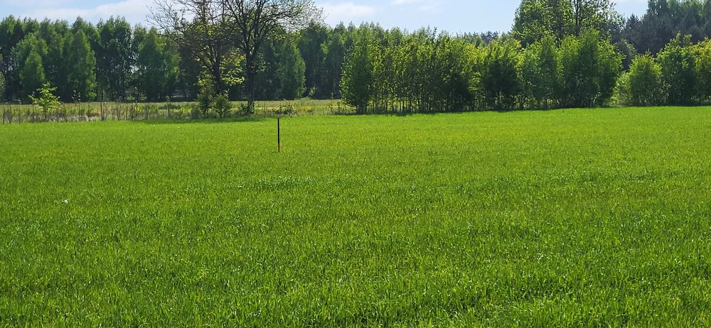 Sprzedam działkę w pomigaczach - Widok 2