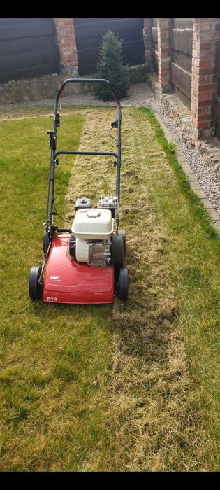 Wycinka drzew . Frezowanie pni