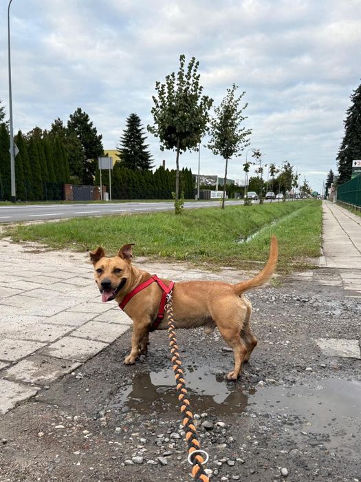 Marzy tylko o jednym – o wolności, miłości i człowieku, który go zrozu